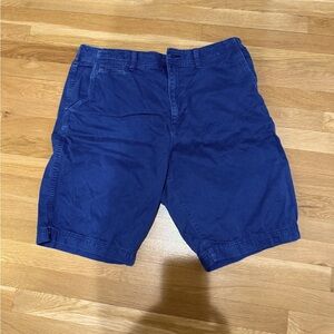 American Eagle Men's Blue Shorts